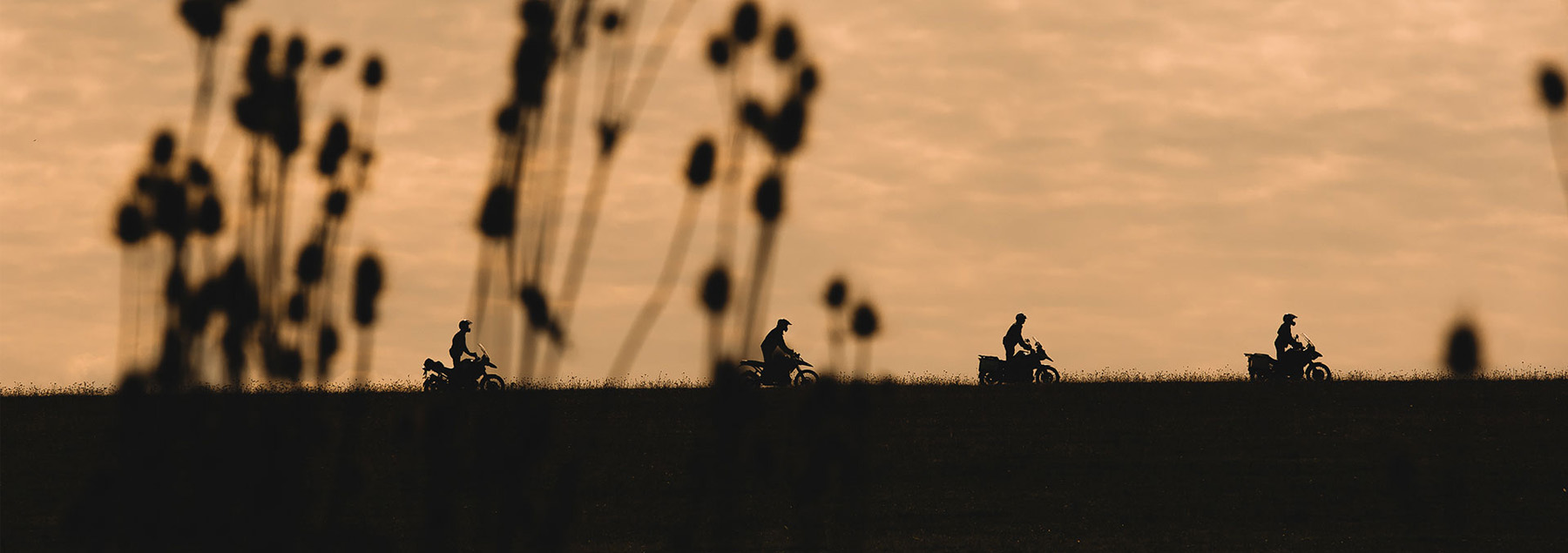 The Ultimate BMW Motorrad Riding Loops in Southern California
